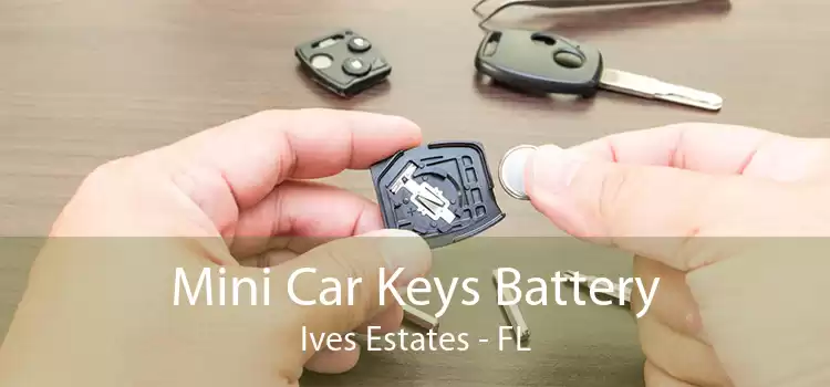 Mini Car Keys Battery Ives Estates - FL