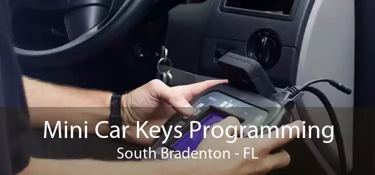 Mini Car Keys Programming South Bradenton - FL