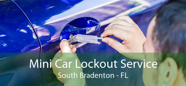 Mini Car Lockout Service South Bradenton - FL