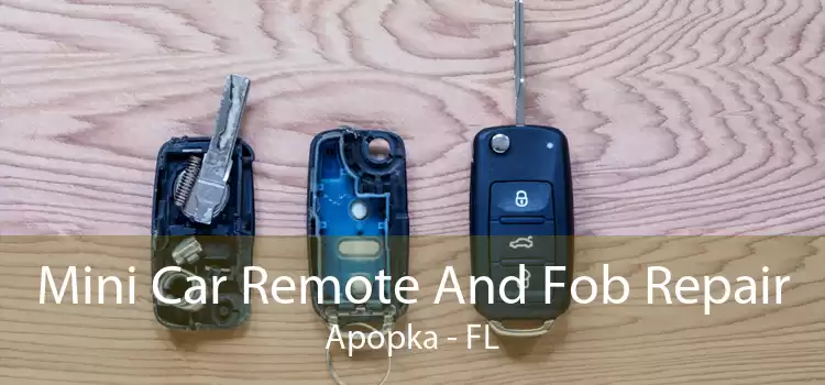 Mini Car Remote And Fob Repair Apopka - FL