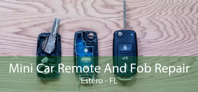 Mini Car Remote And Fob Repair Estero - FL