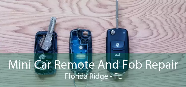 Mini Car Remote And Fob Repair Florida Ridge - FL
