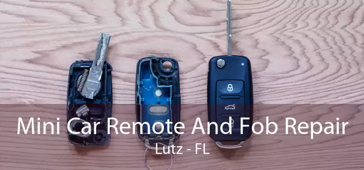 Mini Car Remote And Fob Repair Lutz - FL