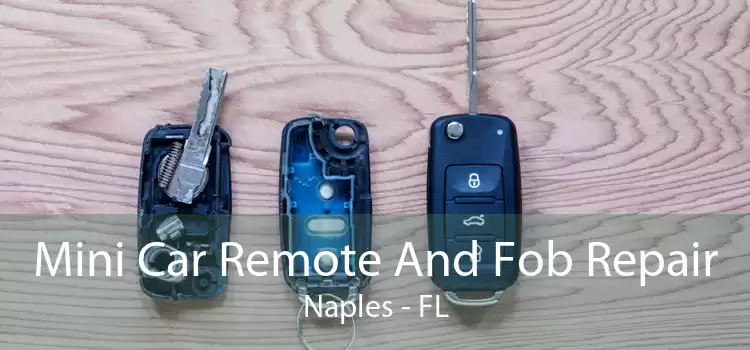Mini Car Remote And Fob Repair Naples - FL