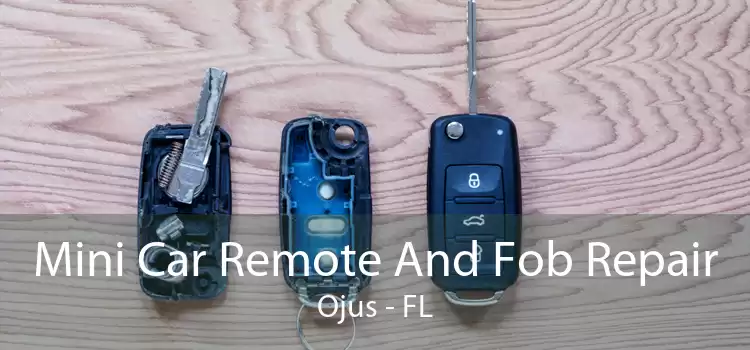 Mini Car Remote And Fob Repair Ojus - FL