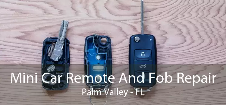 Mini Car Remote And Fob Repair Palm Valley - FL