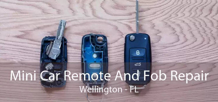 Mini Car Remote And Fob Repair Wellington - FL