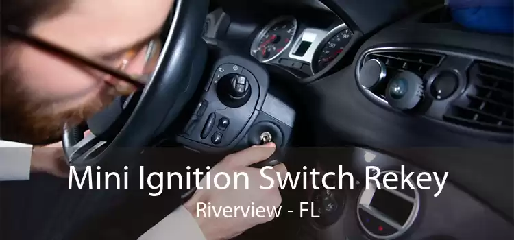 Mini Ignition Switch Rekey Riverview - FL