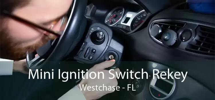 Mini Ignition Switch Rekey Westchase - FL
