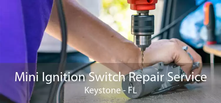 Mini Ignition Switch Repair Service Keystone - FL