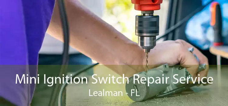 Mini Ignition Switch Repair Service Lealman - FL