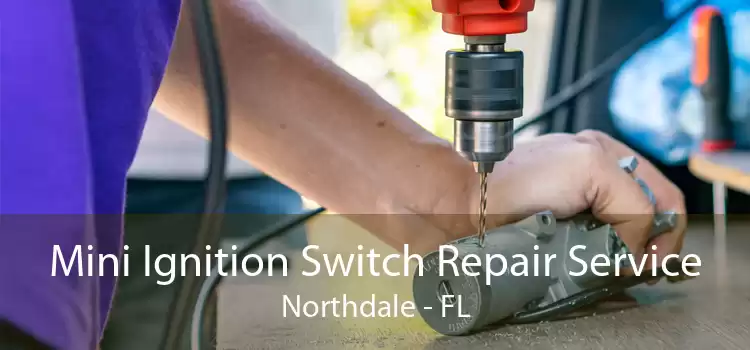 Mini Ignition Switch Repair Service Northdale - FL