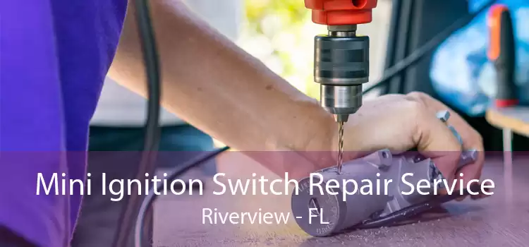 Mini Ignition Switch Repair Service Riverview - FL