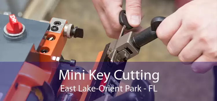 Mini Key Cutting East Lake-Orient Park - FL