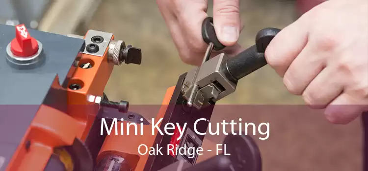 Mini Key Cutting Oak Ridge - FL