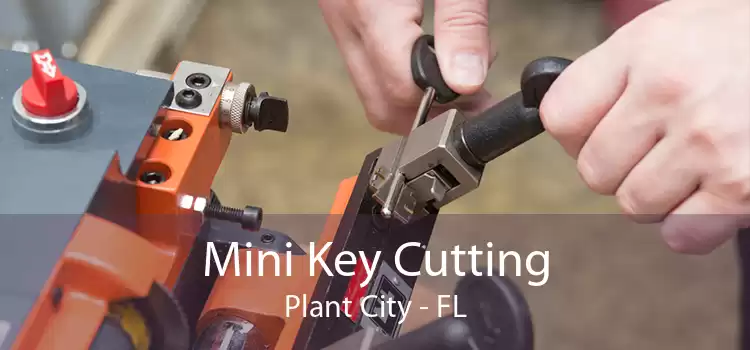 Mini Key Cutting Plant City - FL