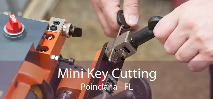 Mini Key Cutting Poinciana - FL