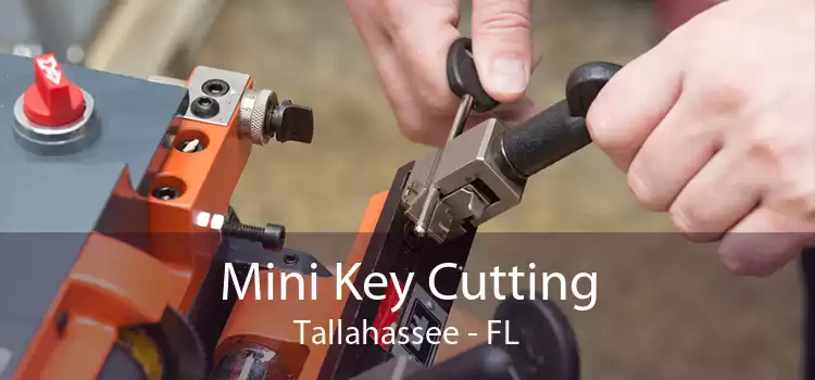 Mini Key Cutting Tallahassee - FL