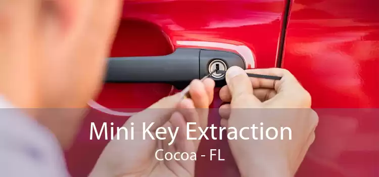 Mini Key Extraction Cocoa - FL