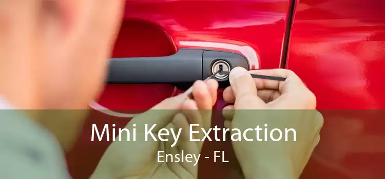 Mini Key Extraction Ensley - FL