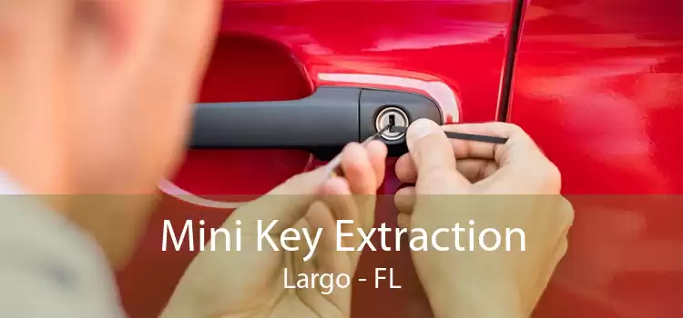 Mini Key Extraction Largo - FL