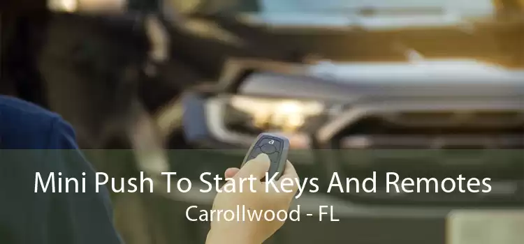 Mini Push To Start Keys And Remotes Carrollwood - FL