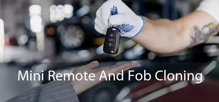 Mini Remote And Fob Cloning 