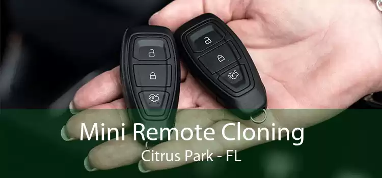 Mini Remote Cloning Citrus Park - FL