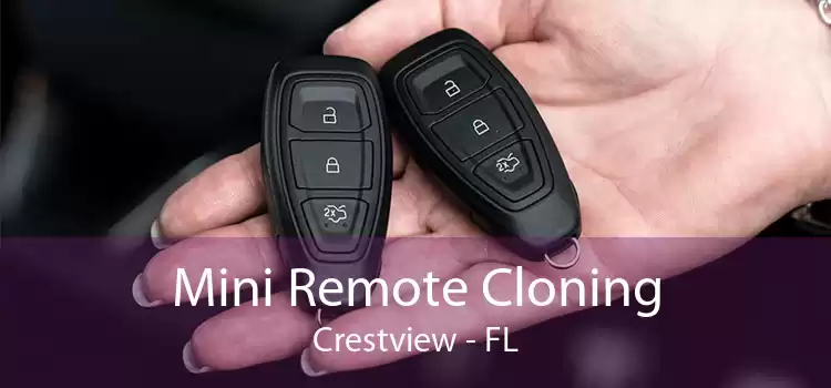 Mini Remote Cloning Crestview - FL