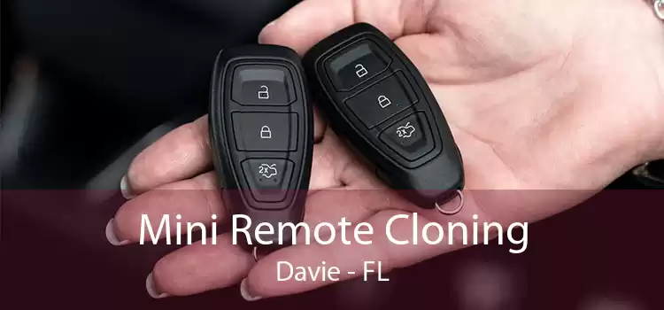 Mini Remote Cloning Davie - FL