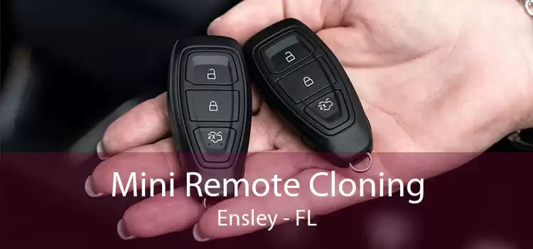 Mini Remote Cloning Ensley - FL