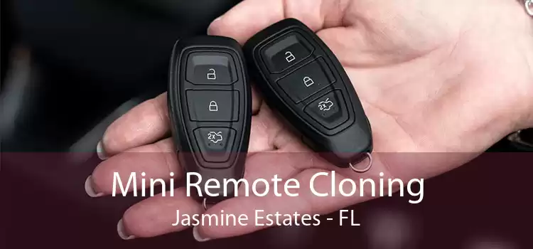 Mini Remote Cloning Jasmine Estates - FL