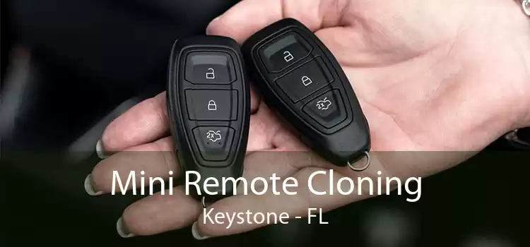 Mini Remote Cloning Keystone - FL