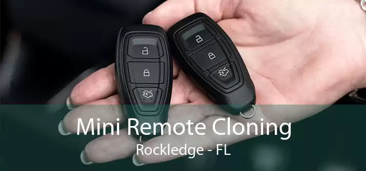 Mini Remote Cloning Rockledge - FL