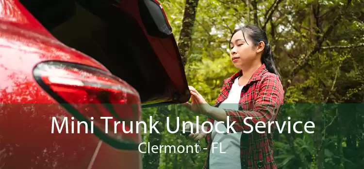 Mini Trunk Unlock Service Clermont - FL