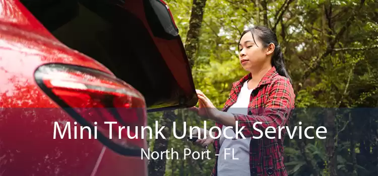 Mini Trunk Unlock Service North Port - FL