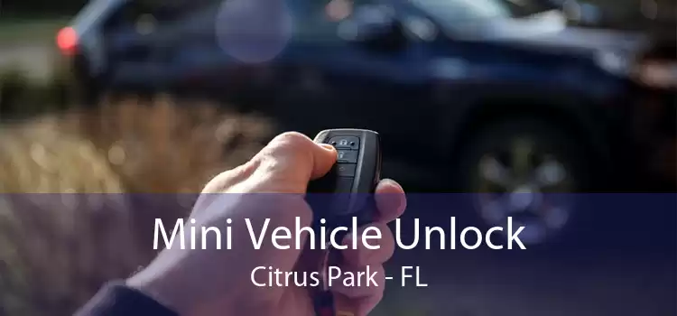 Mini Vehicle Unlock Citrus Park - FL