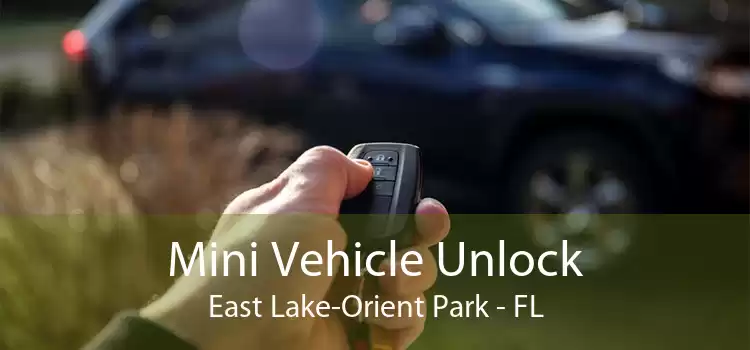 Mini Vehicle Unlock East Lake-Orient Park - FL