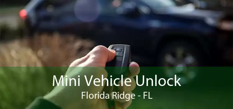 Mini Vehicle Unlock Florida Ridge - FL