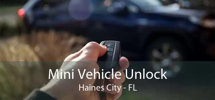 Mini Vehicle Unlock Haines City - FL