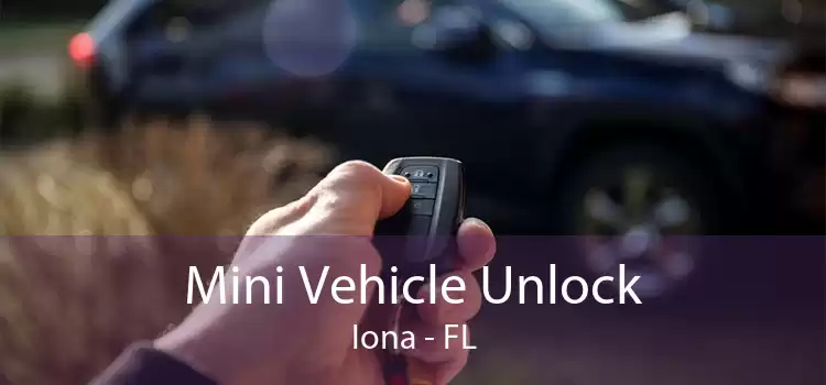 Mini Vehicle Unlock Iona - FL