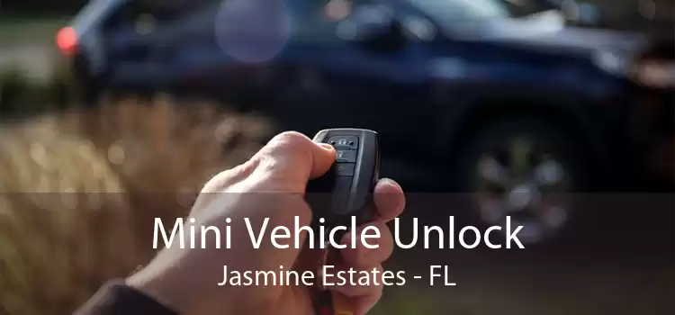 Mini Vehicle Unlock Jasmine Estates - FL