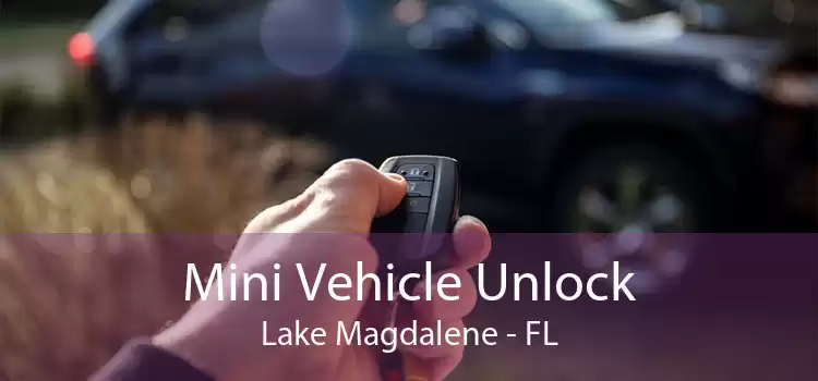 Mini Vehicle Unlock Lake Magdalene - FL