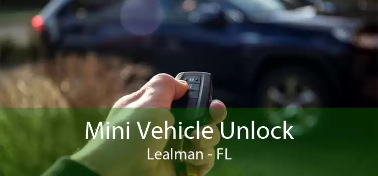 Mini Vehicle Unlock Lealman - FL