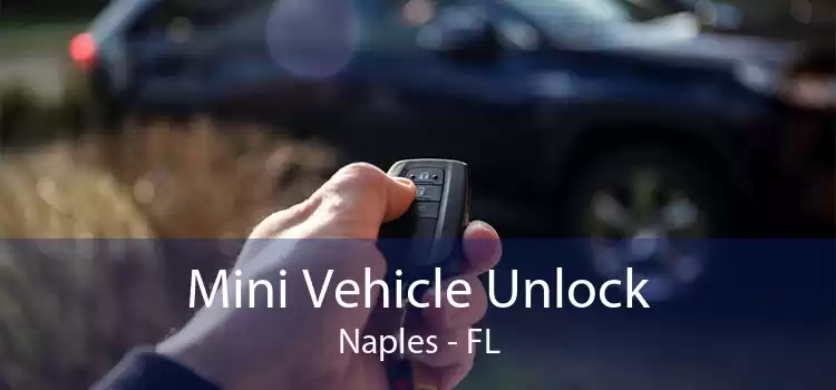 Mini Vehicle Unlock Naples - FL