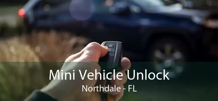 Mini Vehicle Unlock Northdale - FL