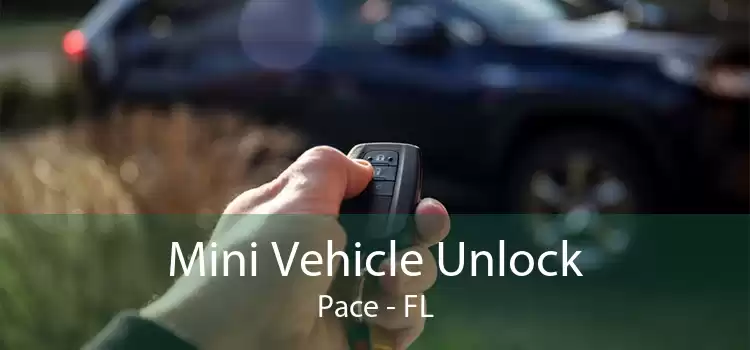 Mini Vehicle Unlock Pace - FL