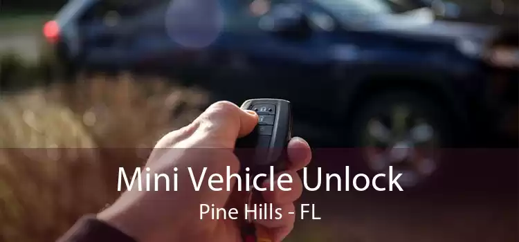 Mini Vehicle Unlock Pine Hills - FL