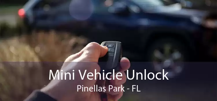 Mini Vehicle Unlock Pinellas Park - FL