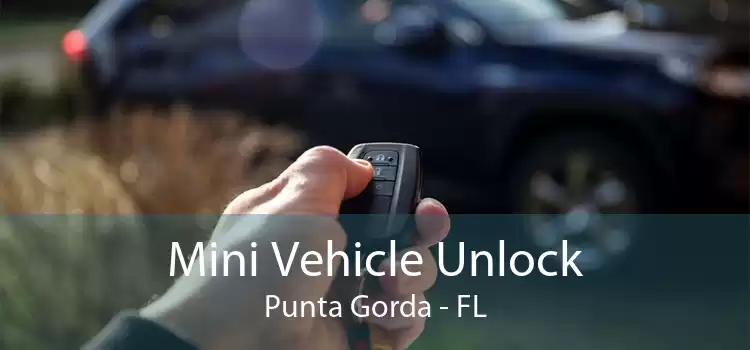 Mini Vehicle Unlock Punta Gorda - FL